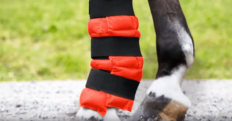 Best-Ice-Boots-for-Horses