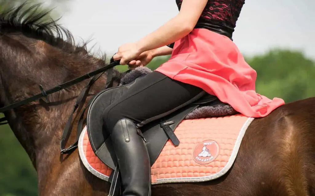 abetta-saddle