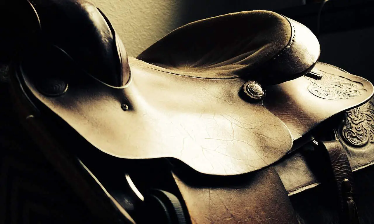 review-of-abetta-saddle