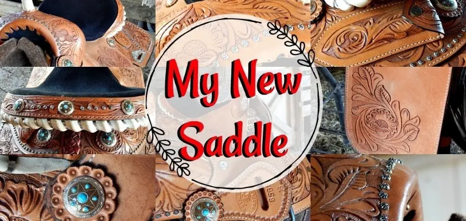Double T Saddle Reviews