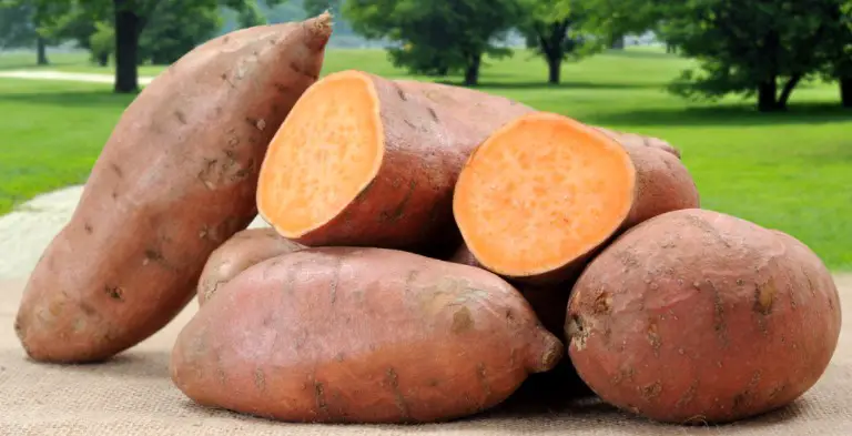 Amazing Facts about Sweet Potatoes