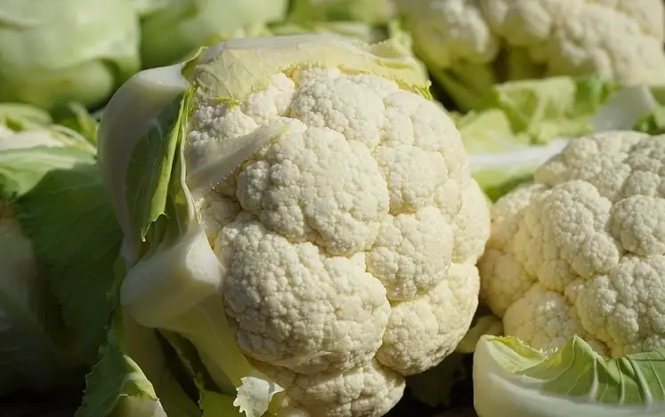 Amazing facts about Cauliflower
