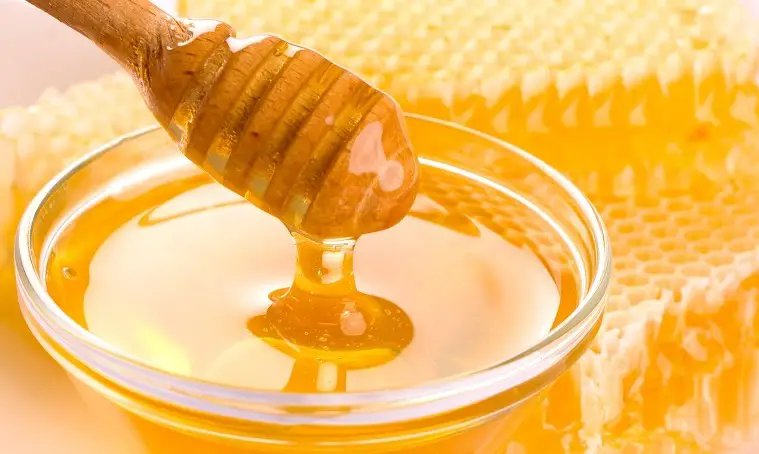 Amazing facts about Honey