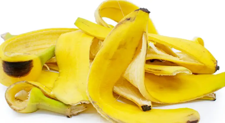 Facts about Banana Peels