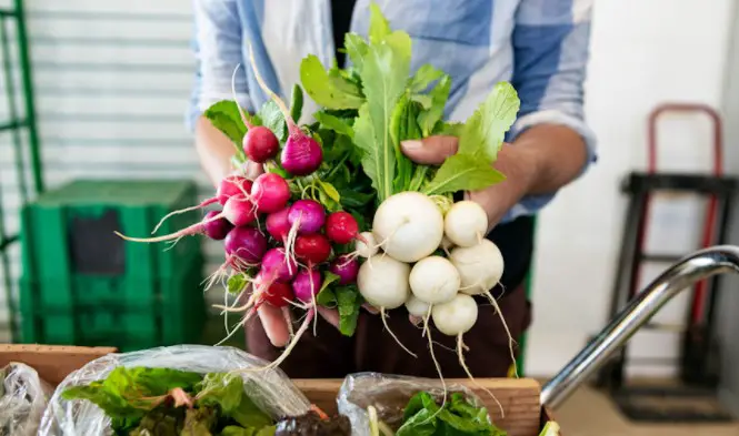 Health Benefits of Turnips