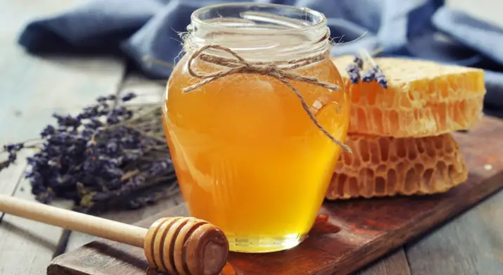 Health benefits of Honey to Horses