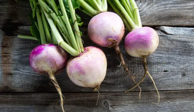 What are Turnips
