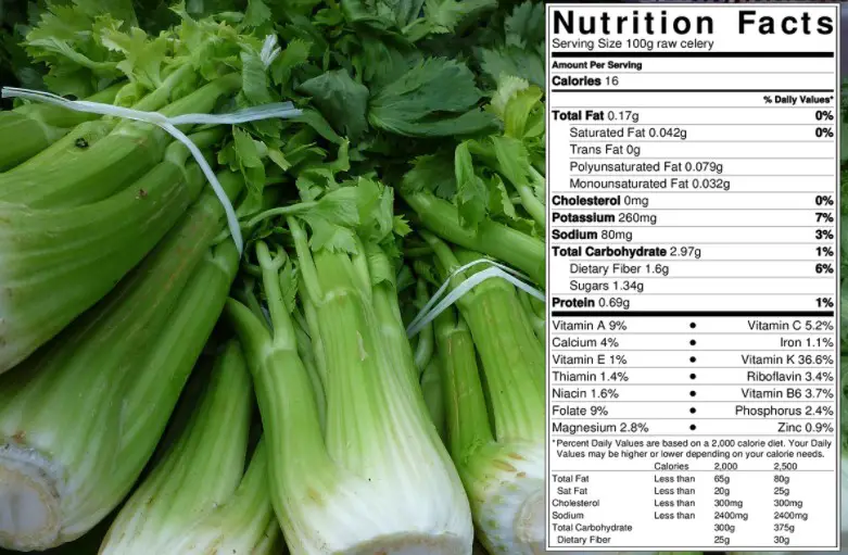 Amazing facts about celery