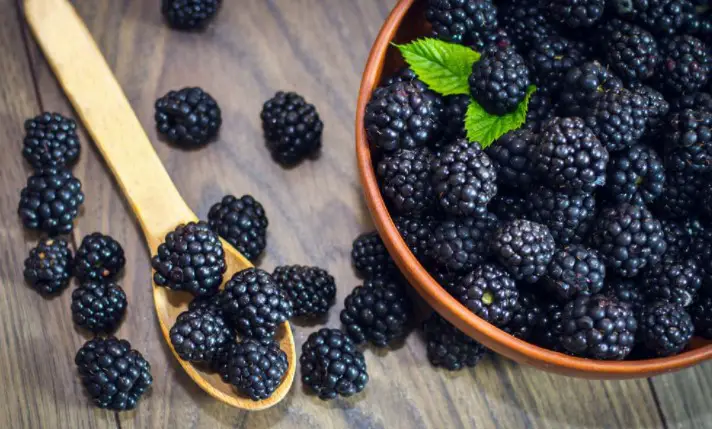 health Benefits Of Blackberries