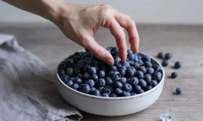 Benefits of Feeding Blueberries to Horses