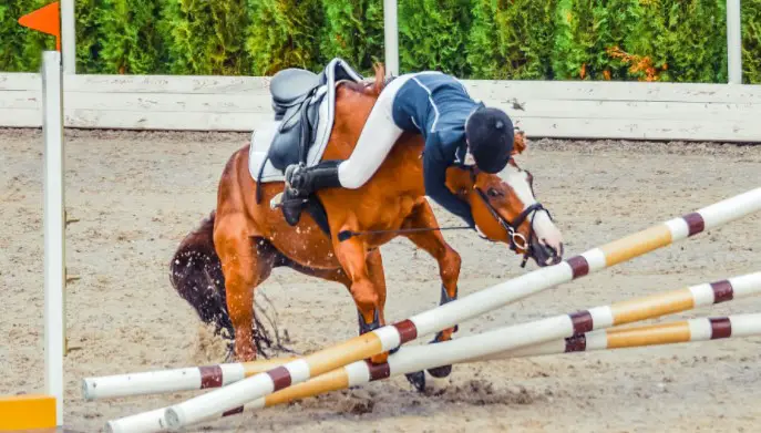 Can Jumping Harm Horses