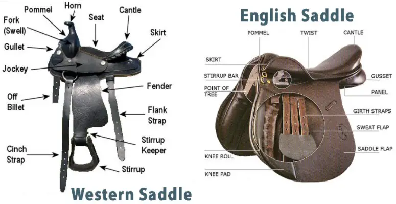 Difference Between Western and English Saddles
