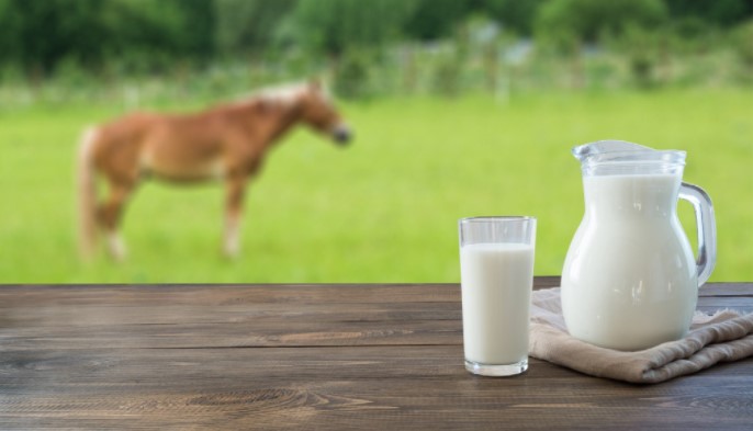 Does Horse Milk have a bad taste