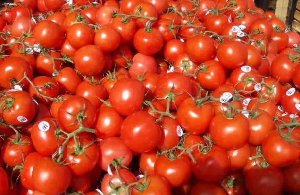 Keep Tomatoes Far-off From Horses