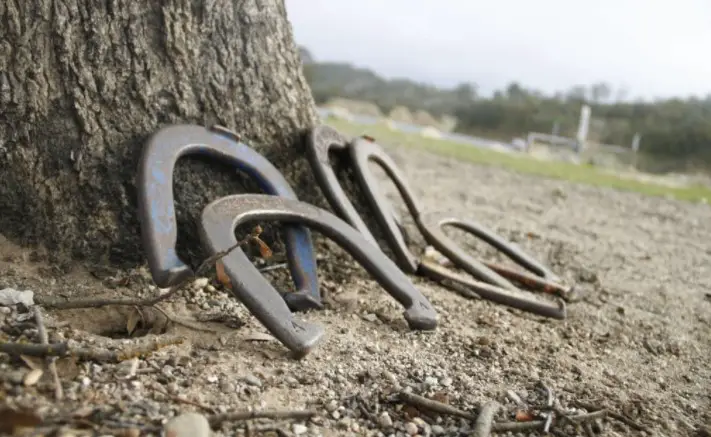 Pros and Cons of Horseshoes