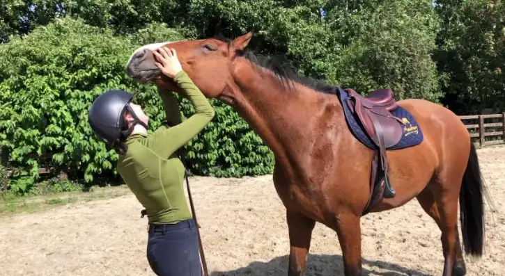 Reasons Why A Horse May Dislike Being Ridden