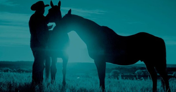 The Science Behind a Horse’s Night Vision