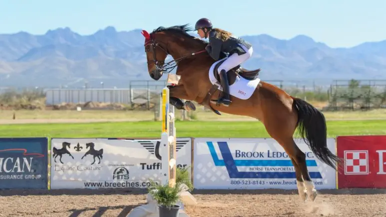 What Determines How High a Horse Jumps