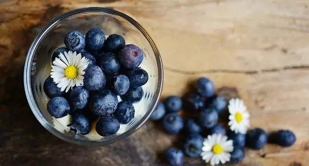 Why You Should Feed Your Horse Blueberries